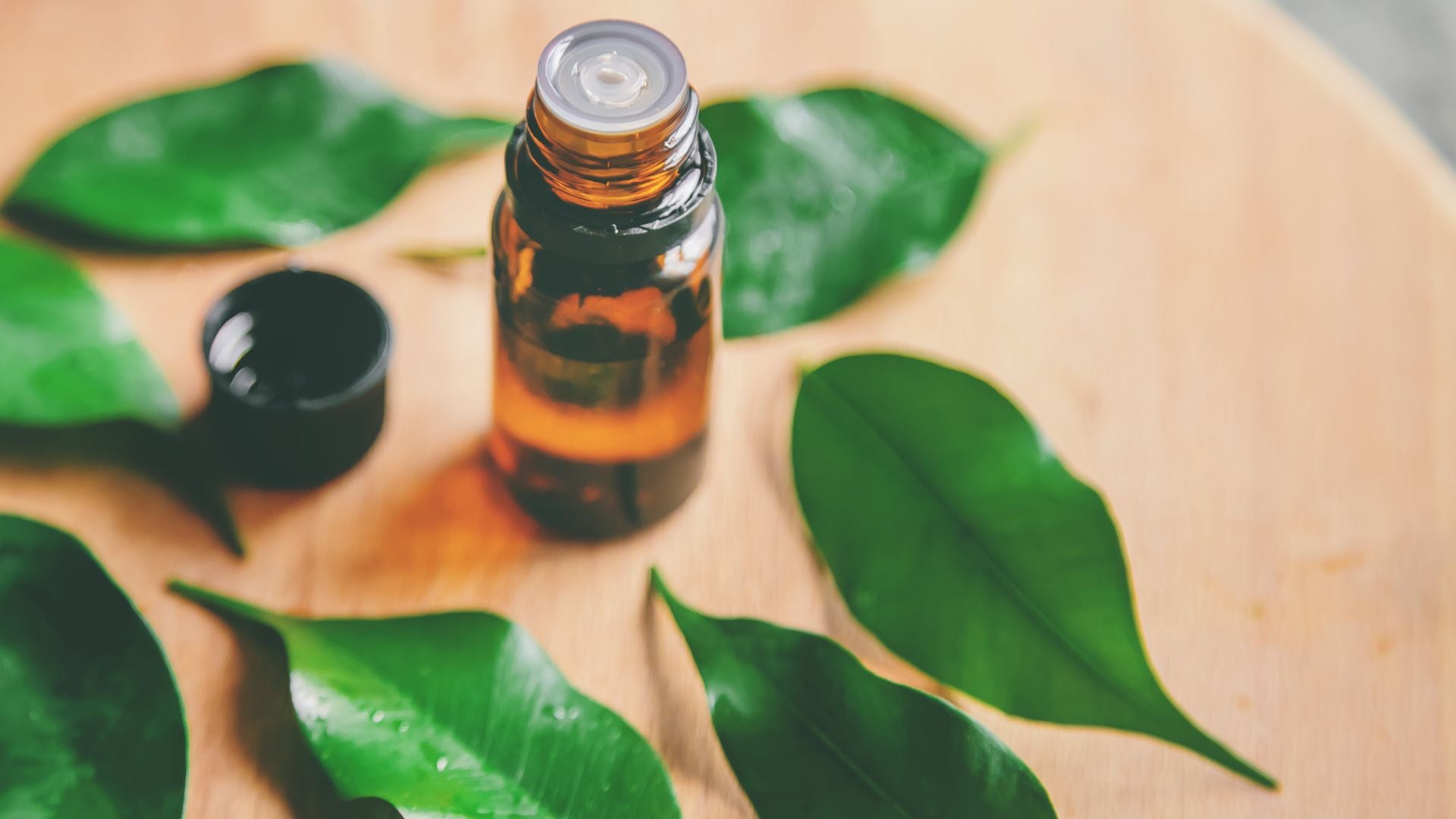 TEA TREE OIL - Why is it Good for Your Skin?